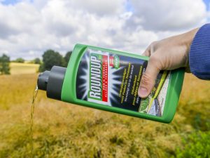 Monsanto est interdite au Parlement européen